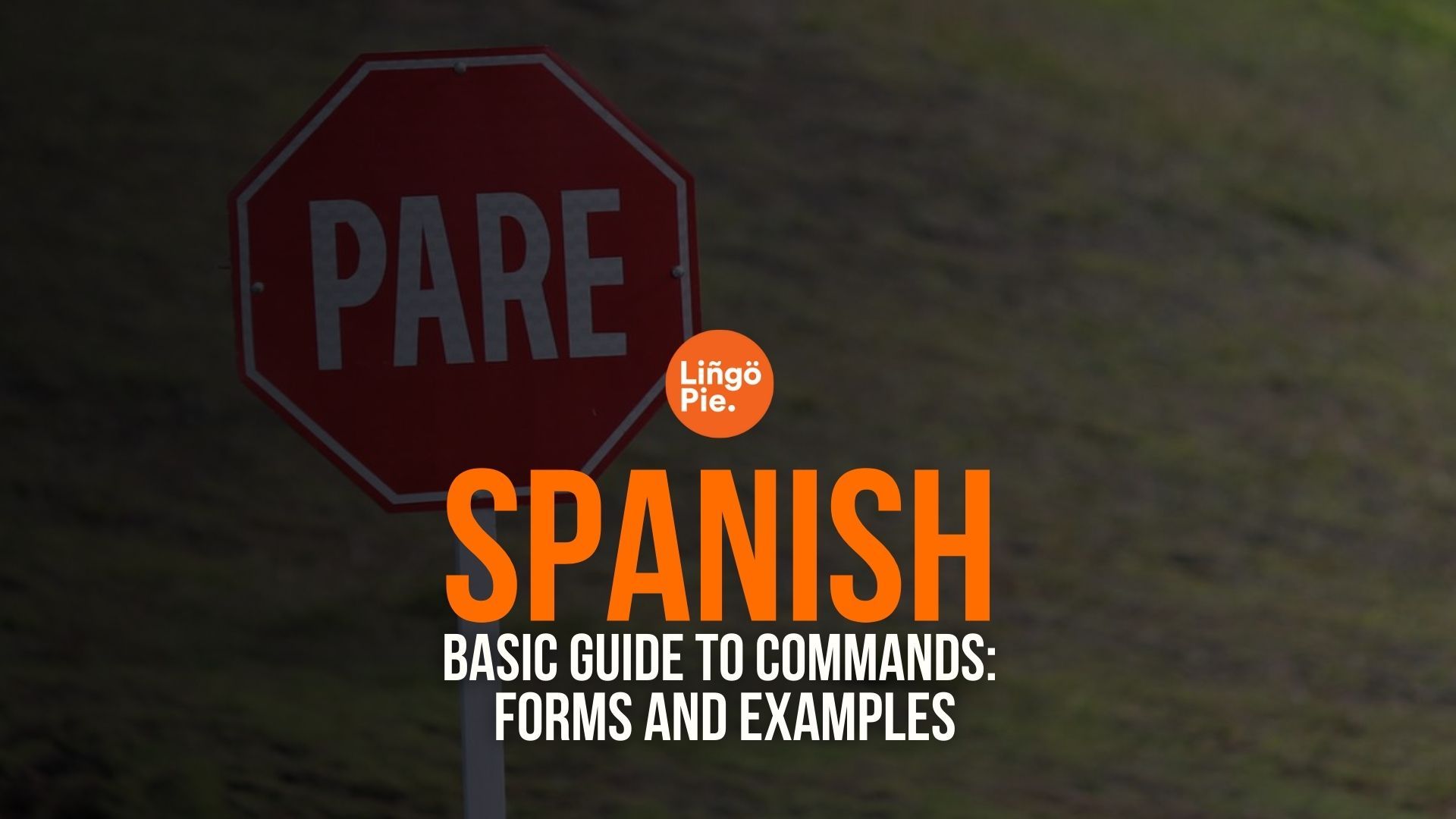 Basic Guide to Commands in Spanish: Forms and Examples