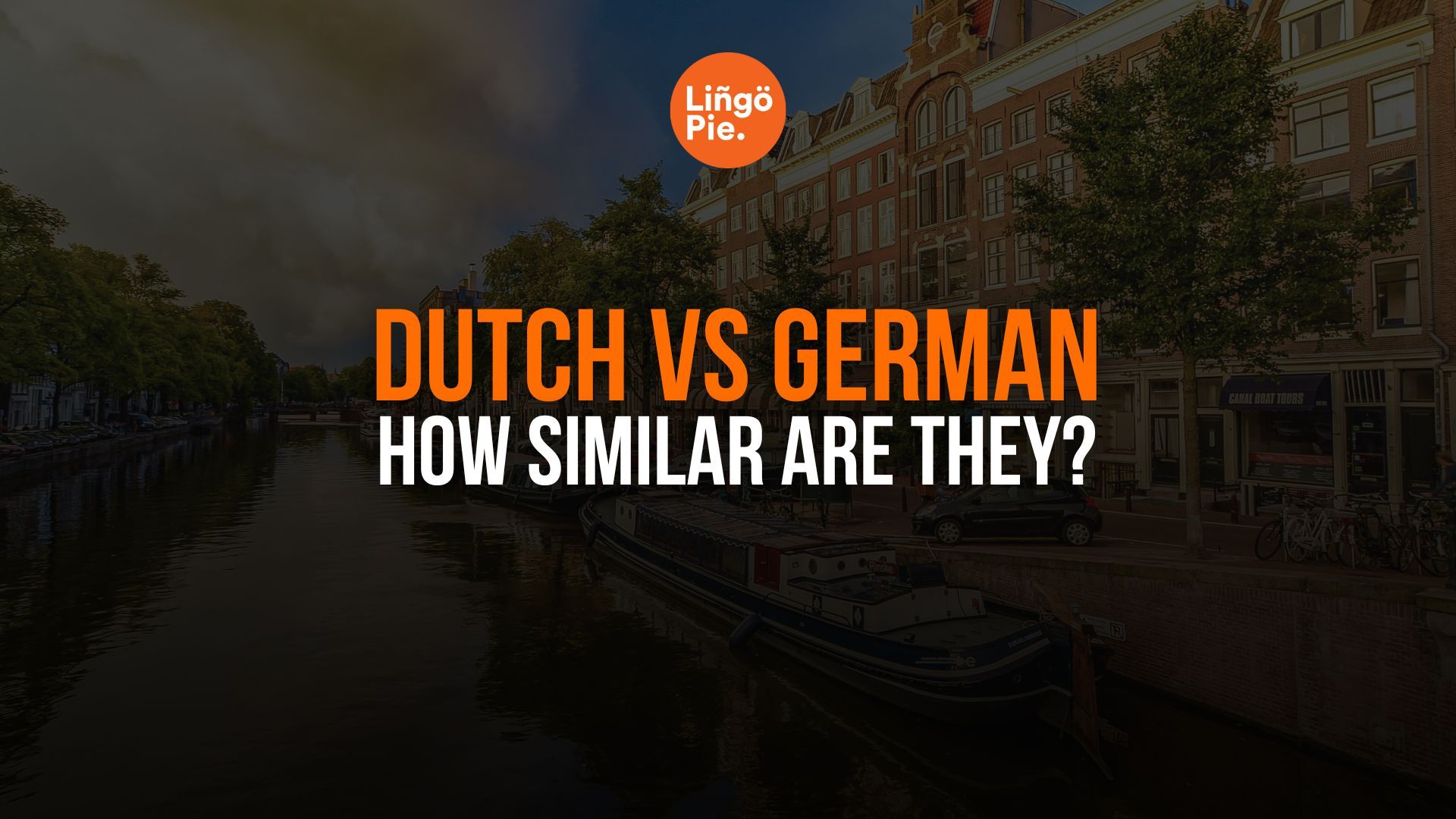 Dutch Vs German: How Similar Are They?