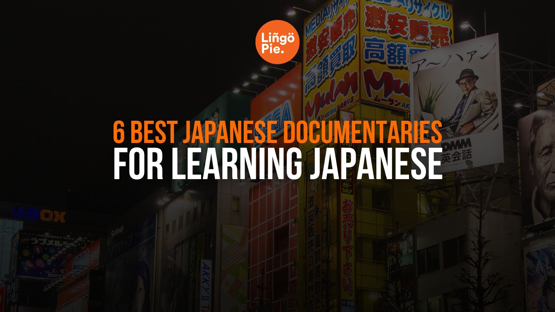 6 Best Japanese Documentaries To Learn Japanese