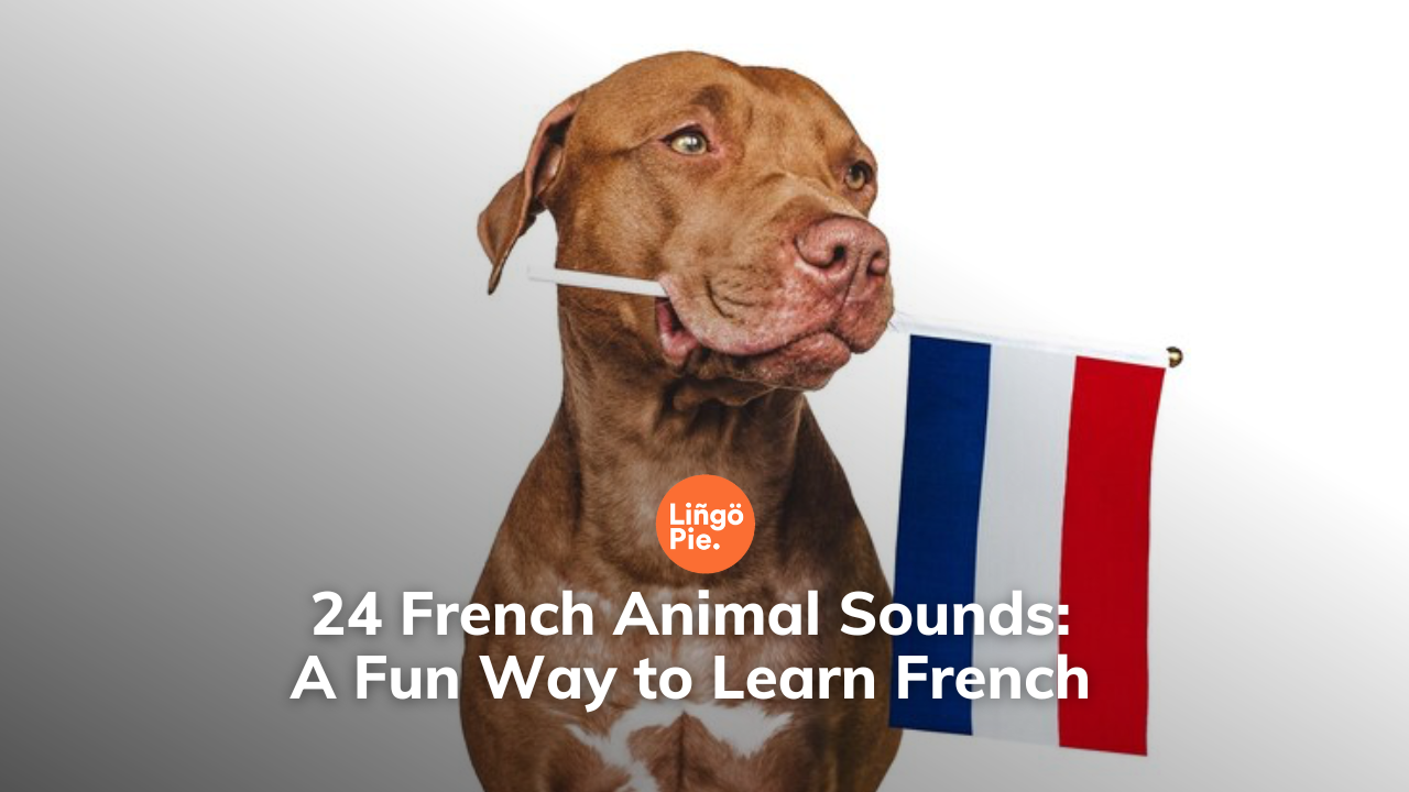 20+ French Animal Sounds: A Fun Way to Learn French