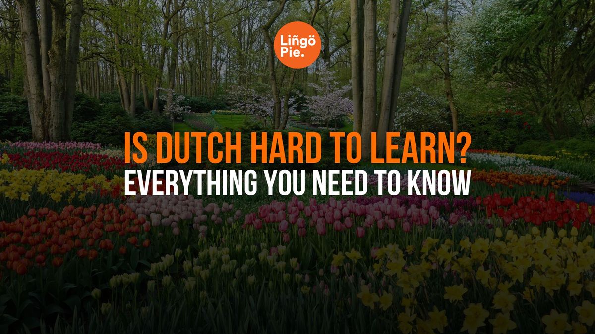 Is Dutch Hard to Learn? A Complete Beginner's Guide [2025]