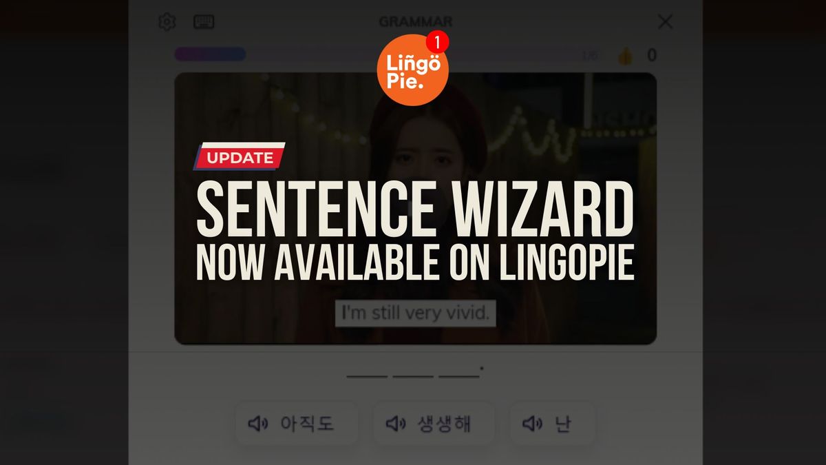 Lingopie Launches Sentence Wizard