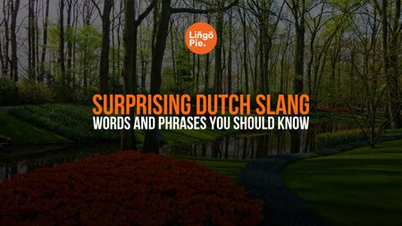 Dutch Slang Words And Phrases