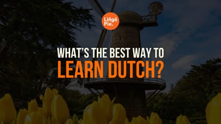 Best way to learn Dutch